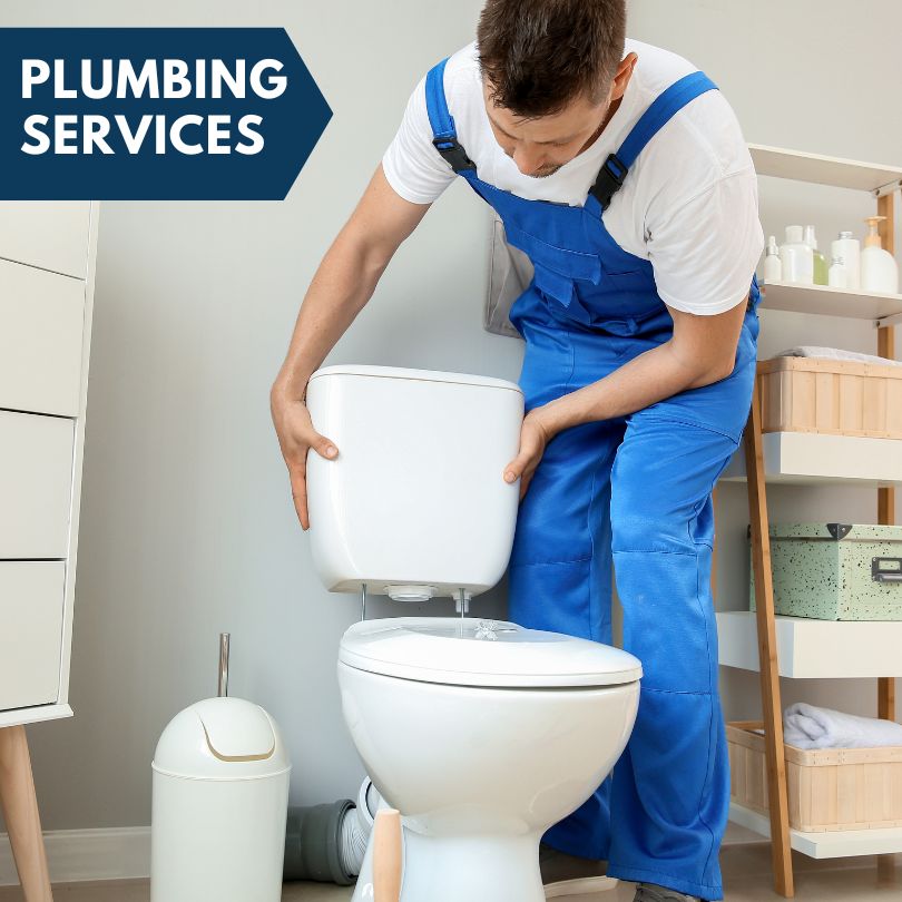 Plumbing Company in Newhall, IA